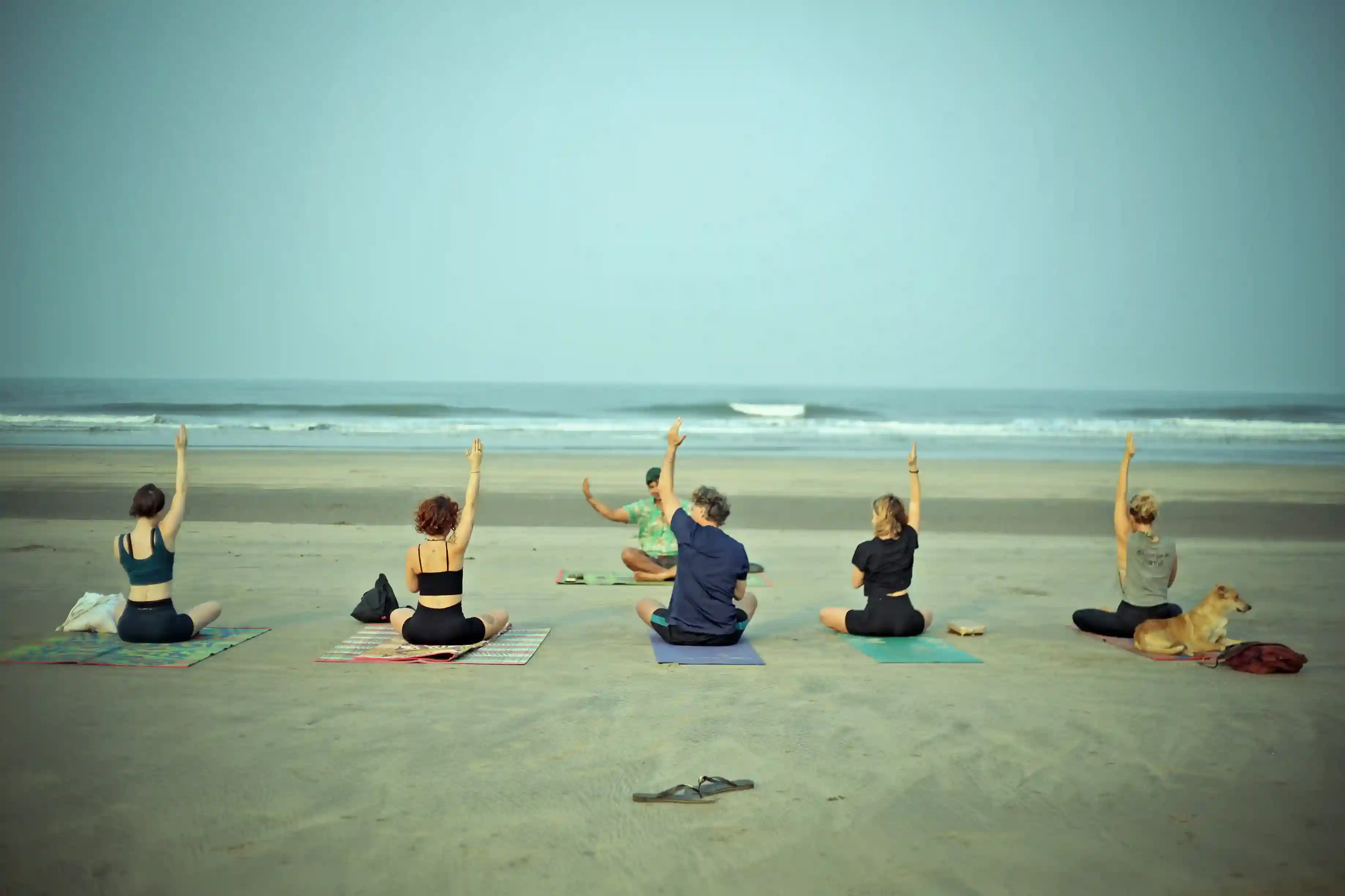 Yoga sustainability